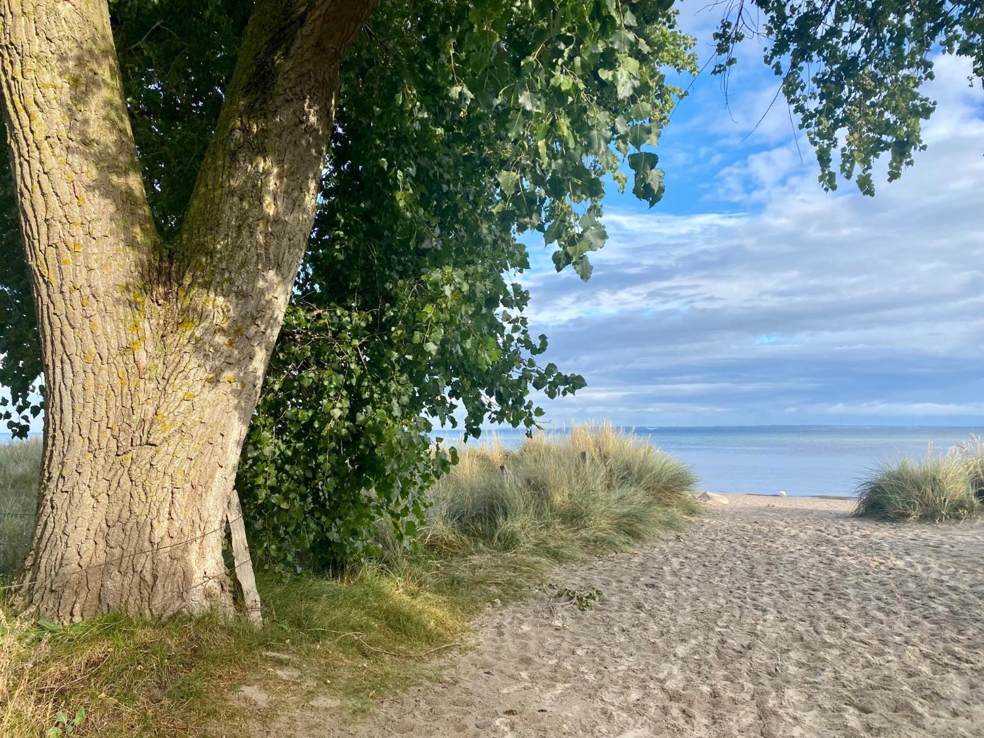 Feriendorf Suedstrand Haus 35 بيلزيرهاكين المظهر الخارجي الصورة